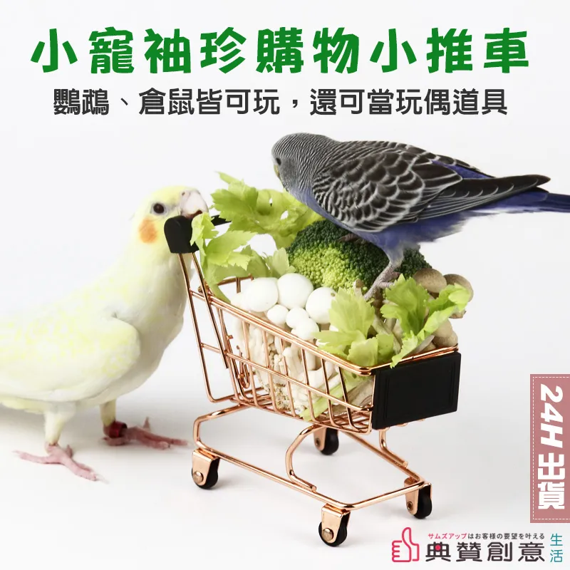 小寵袖珍購物小推車 迷你購物車 超市購物車 拍照擺飾收納 鳥玩具 鸚鵡玩具 倉鼠玩具 家家酒 袖珍擺飾 典贊創意 寵物 歷史價格詳細信息