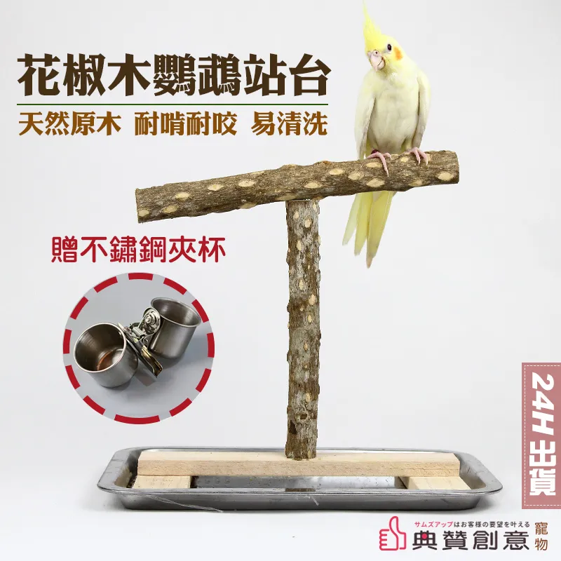 花椒木鸚鵡吸盤站架 24H出貨 鳥站桿 鸚鵡站台 鸚鵡站桿 寵物用品 鸚鵡用品 鳥用品 鳥玩具 鸚鵡玩具 典贊創意 歷史價格詳細信息