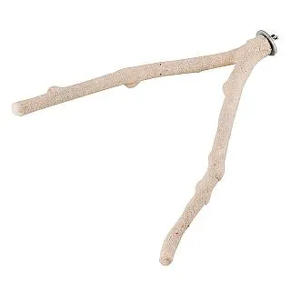 Canary~超大盛的犬用點心餅(骨形牛奶風味) 615g 歷史價格詳細信息