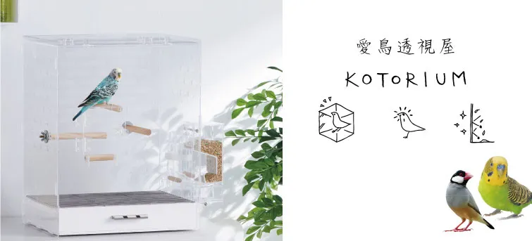 日本GEX 愛鼠運動圍片專用地布65301 可搭配壓透明圍離 在家也能讓寵物鼠活動娛樂『WANG』 歷史價格詳細信息