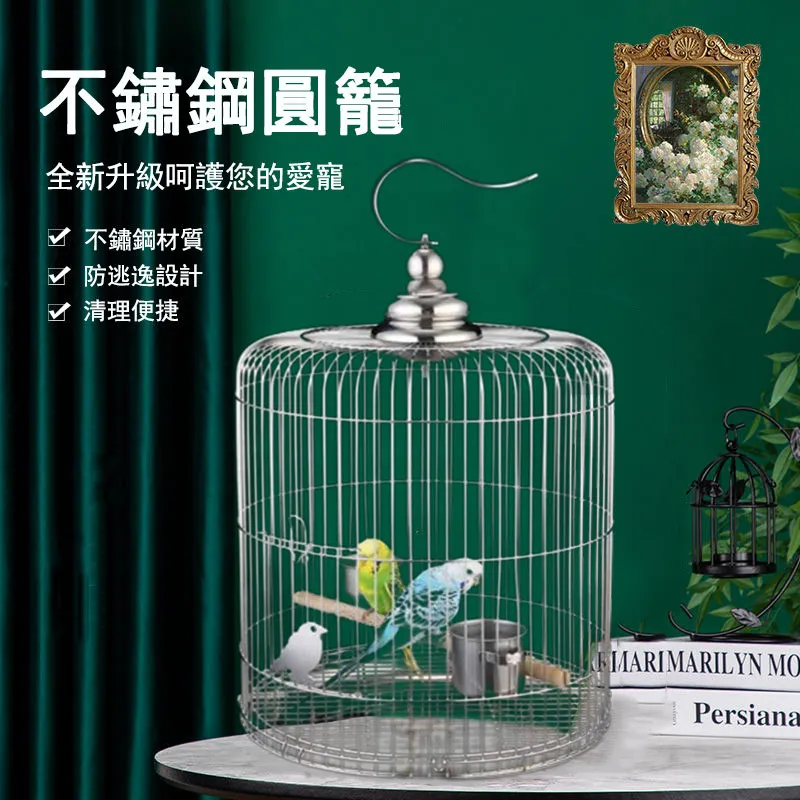 鳥形狀無頭電吉他半成品unfinished electric guitar 883 歷史價格詳細信息