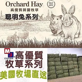 牧草苜蓿鍘草揉絲機 農作物秸稈揉搓碎草機 鍘草揉搓機 歷史價格詳細信息