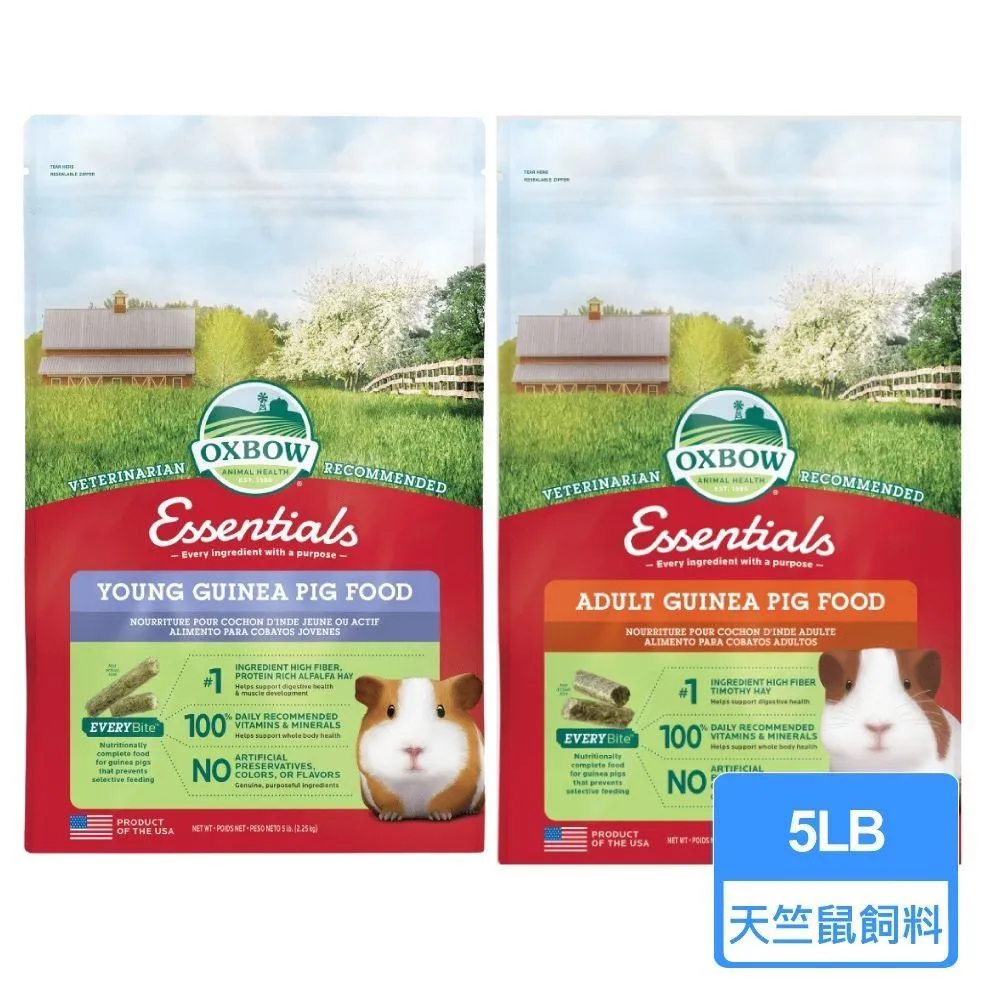 5 Lb Pounds Destash Junk Jewelry Supply Vintage New Pieces Parts Unsearched Lot 歷史價格詳細信息