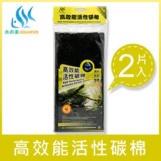 水之樂  高性能活性碳 (2入裝) 歷史價格詳細信息
