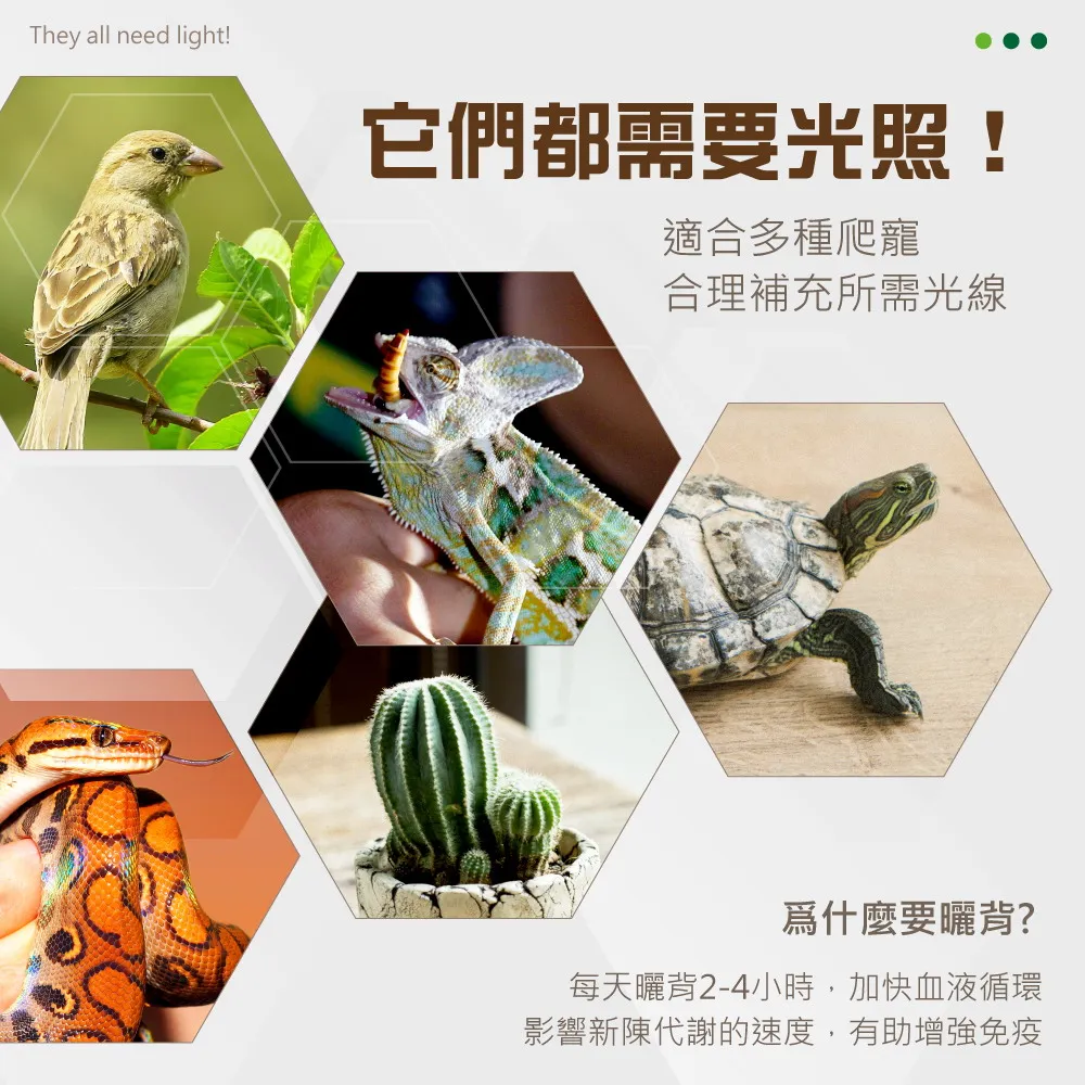 背投燈架915p061010適用背投電視 -73733 -65734 歷史價格詳細信息