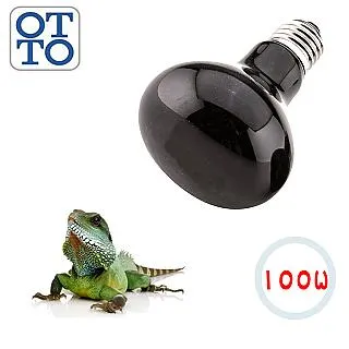 100W 保榮口 YNLUX 100 攝影燈 歷史價格詳細信息