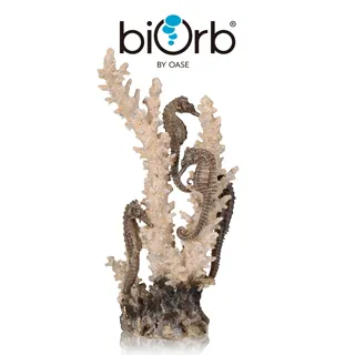 OASE biOrb 中型仿真植物(綠&紫) 歷史價格詳細信息