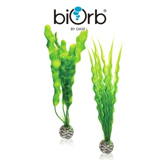OASE biOrb 仿真綠色草苗 (中) 歷史價格詳細信息