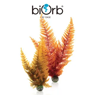 OASE biOrb 秋意濃裝飾套組15L 歷史價格詳細信息