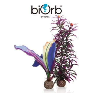 OASE biOrb 仿真鸚鵡羽毛裝飾(小) 歷史價格詳細信息