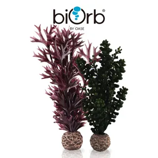 OASE biOrb 仿真深紅軟珊瑚(中) 歷史價格詳細信息