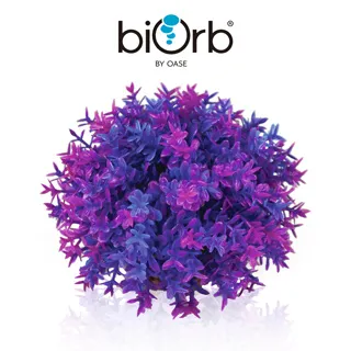 OASE biOrb 紫色仿真海草組(中) 歷史價格詳細信息