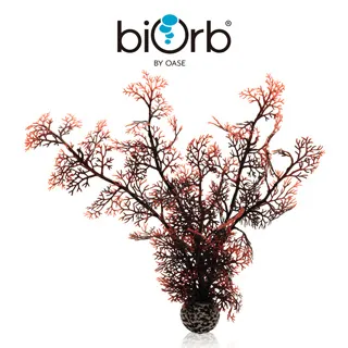 OASE biOrb 紅森林裝飾套組15L 歷史價格詳細信息