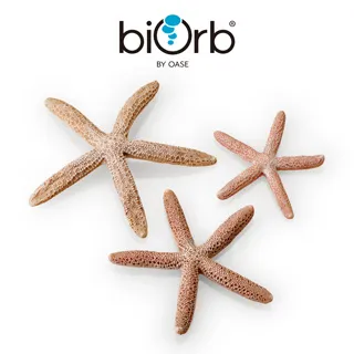 OASE biOrb 仿真海星3入組(黃色) 歷史價格詳細信息