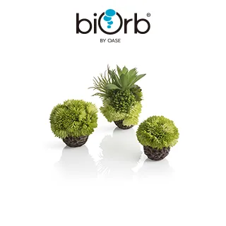 OASE birOb綠色珊瑚球組 歷史價格詳細信息