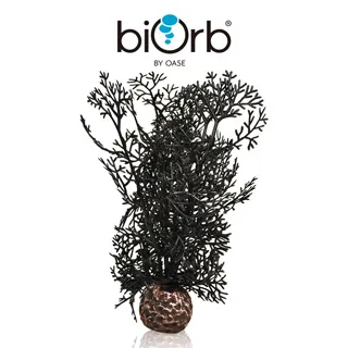 OASE biOrb 黑色珊瑚造型中柱 歷史價格詳細信息