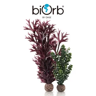 OASE biOrb 仿真海葡萄與海藻(深綠) 歷史價格詳細信息