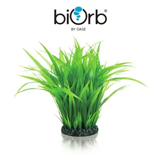 OASE biOrb 仿真綠色草苗 (中) 歷史價格詳細信息