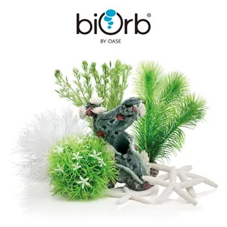 OASE biOrb 小花園裝飾套組15L 歷史價格詳細信息