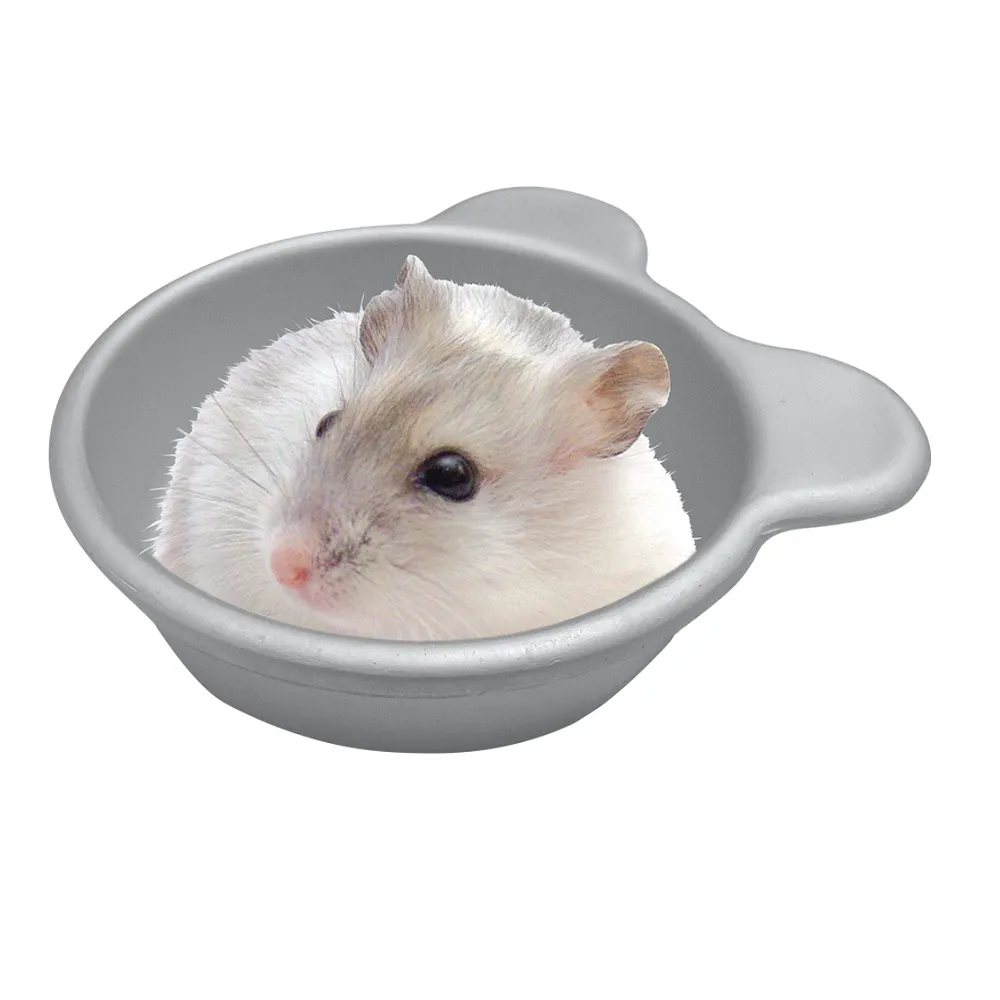 【MARUKAN】MK 鼠鼠涼爽的家 (ML-251) 歷史價格詳細信息