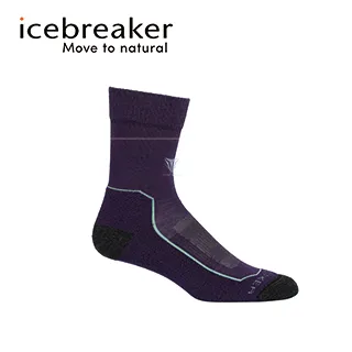 icebreaker IB105097 女 中筒中毛圈健行襪 歷史價格詳細信息