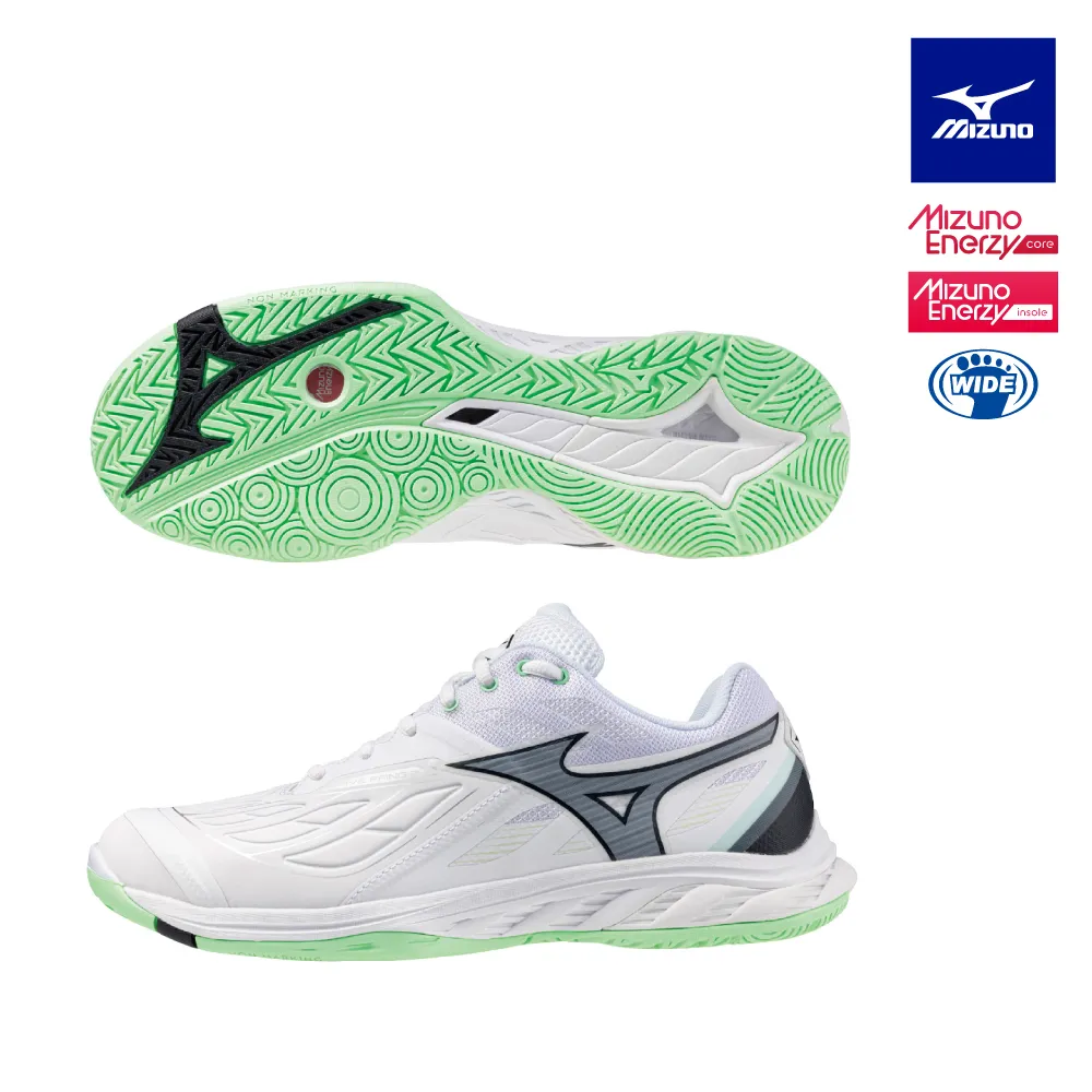 【MIZUNO 美津濃】WAVE FANG EL 2 寬楦羽球鞋 71GA242302 歷史價格詳細信息