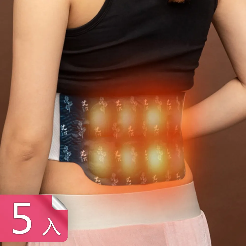 【荷生活】草本自發熱蒸氣式足部暖暖貼 無膠穿套式艾草暖腳貼-5入 歷史價格詳細信息