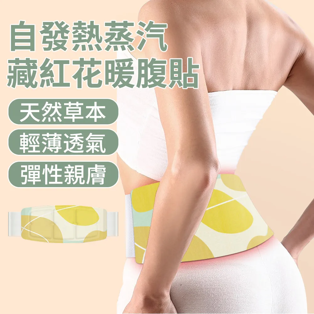 自發熱暖暖超薄透氣鞋墊(6入組) 歷史價格詳細信息