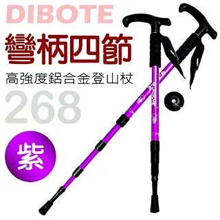 【迪伯特DIBOTE】高強度加粗款折疊自行車籃 菜籃+提袋組 歷史價格詳細信息