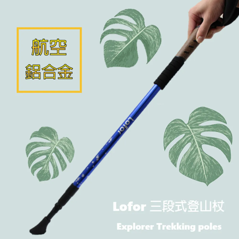 lotor燉盅隔水燉家用全自動大容量煲湯煮粥鍋2024新款陶瓷電燉鍋 歷史價格詳細信息