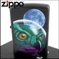 ZIPPO Space Cat 尋夢旅行-太空貓防風打火機 歷史價格詳細信息