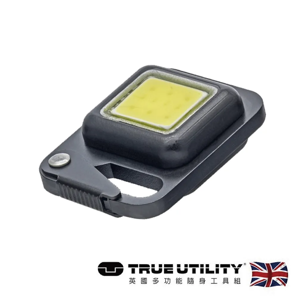 【TRUE UTILITY】英國多功能充電型LED鈕扣燈鑰匙圈CLIPLITE 歷史價格詳細信息
