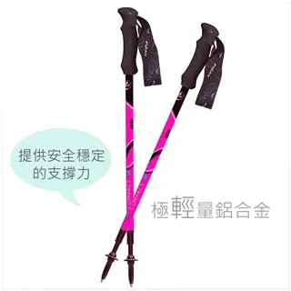 【義大利FIZAN】OPEN! FIZAN 超輕三節式登山杖兩入組-丈青(FZS21.7102.7DT) 歷史價格詳細信息