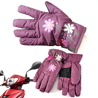 Ex-sports 智慧觸控 多功能手套(女款-G02-條紋) 歷史價格詳細信息