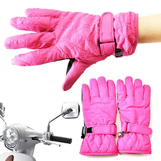 Ex-sports 智慧觸控 多功能手套(女款-G02-條紋) 歷史價格詳細信息