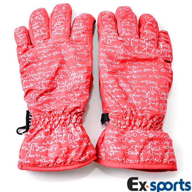 Ex-sports 智慧觸控 多功能手套(女款-G02-條紋) 歷史價格詳細信息