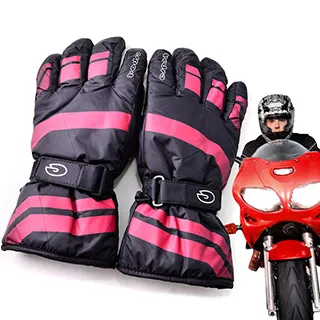 Ex-sports 智慧觸控 多功能手套(女款-G02-條紋) 歷史價格詳細信息