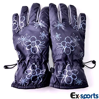Ex-sports 智慧觸控 多功能手套(女款-G02-條紋) 歷史價格詳細信息