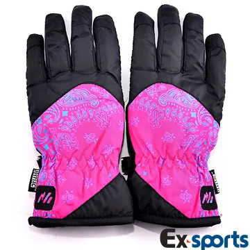 Ex-sports 智慧觸控 多功能手套(女款-G02-條紋) 歷史價格詳細信息