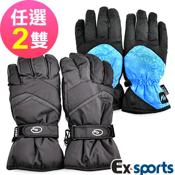 Ex-sports 智慧觸控 多功能手套(女款-G02-條紋) 歷史價格詳細信息