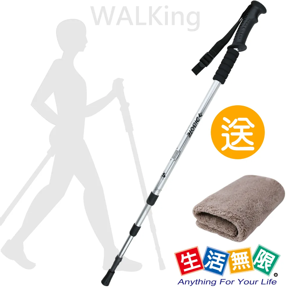 行家型行李帶 5x215cm 混款隨機 歷史價格詳細信息