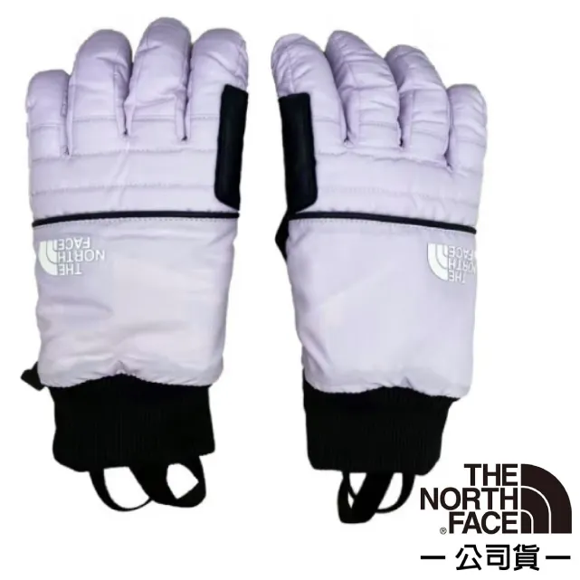 【THE NORTH FACE 美國】女防風快乾短褲『灰褐』NF0A5JX4 歷史價格詳細信息