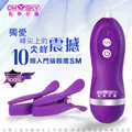 omysky 尖峰震撼2代 10段變頻高質感雙震動乳頭夾 紫羅蘭 歷史價格詳細信息