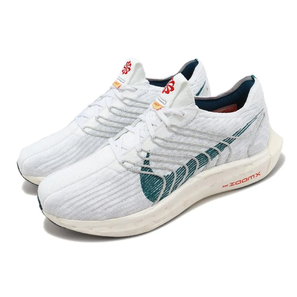 NIKE 男鞋 慢跑鞋 PEGASUS TURBO NEXT NATURE -DM3413003 歷史價格詳細信息