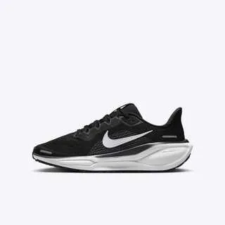 慢跑鞋 Air Zoom Pegasus 41 GS 大童 女鞋 灰 藍 緩衝 小飛馬 運動鞋 FN5041-103 歷史價格詳細信息