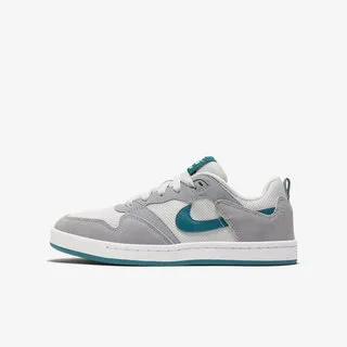 Nike SB Alleyoop 白色 休閒鞋 運動鞋 CJ0882-100 正品  現貨 運動休閒鞋 歷史價格詳細信息