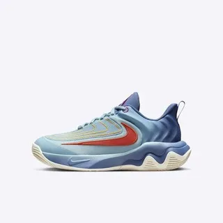 Nike Giannis Immortality 4 PS [FZ6733-500] 中童 籃球鞋 運動 字母哥 紫 歷史價格詳細信息