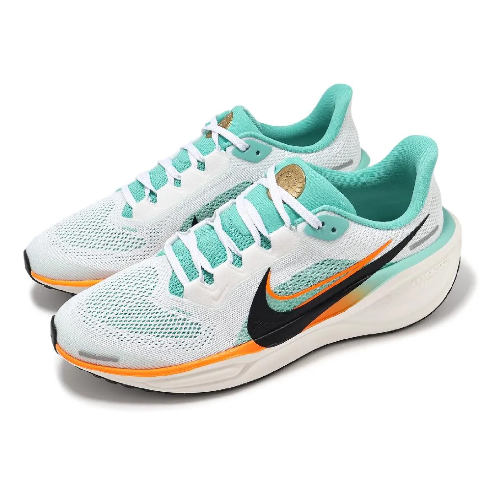 耐吉 Nike Air Zoom Pegasus 41 登月41代 網面 透氣 跑步款  露天市集  全台最大的網路購物 歷史價格詳細信息