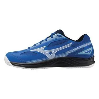 MIZUNO 男女 SKY BLASTER 羽球鞋 室內 輕量 耐磨 - 71GA204590 歷史價格詳細信息