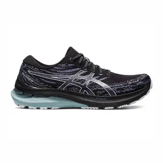 Asics GEL-Kayano 29 2E [1011B470-002] 男 慢跑鞋 運動 寬楦 路跑 緩震 黑白 歷史價格詳細信息